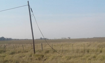 Imagen de la nota: Otro robo de cables en Sierra Chica: se llevaron 400 metros de una plaza pública