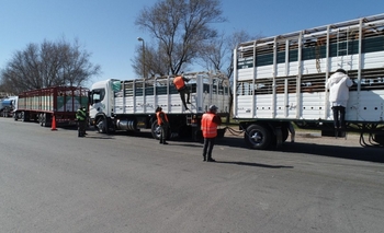 Imagen de la nota: Se controló la carga de camiones en el peaje