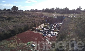 Imagen de la nota: “Hay viviendas ubicadas a 150 metros del basural”