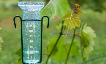 Cuánta lluvia cayó en Olavarría tras la tormenta Imagen de la nota: Cuánta lluvia cayó en Olavarría tras la tormenta