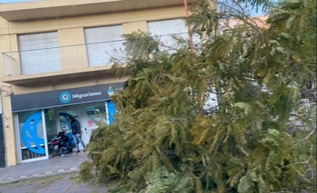 Imagen de la nota: Un temporal arrasó Bahía Blanca