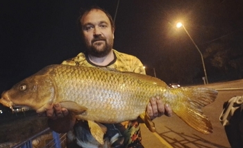 Imagen de la nota:  Un olavarriense pescó una carpa gigante en el puente