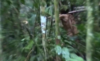 Imagen de la nota: Era el último de su tribu y murió la semana pasada