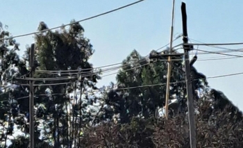 Reclaman por un poste “a punto de caer” al frente de un Jardín de infantes Imagen de la nota: Reclaman por un poste “a punto de caer” al frente de un Jardín de infantes