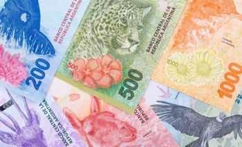 Imagen de la nota: PASO 2023: ¿De cuanto es la multa por no ir a votar?