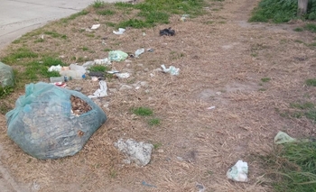 Reclamo vecinal: “Las veredas son directamente intransitables” Imagen de la nota: Reclamo vecinal: “Las veredas son directamente intransitables”