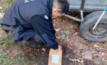 Imagen de la nota: Abigeato: secuestraron carne y una chaira en el Barrio BICE