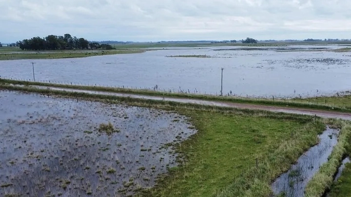 El Niño podría ser el más intenso de la historia