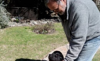 Imagen de la nota: Se busca a los dueños de este perro