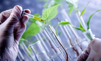 Imagen de la nota: Primera jornada de capacitación docente en Biotecnología