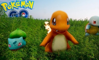 Imagen de la nota: Jugaba al Pokémon Go y descubrió una plantación de cannabis