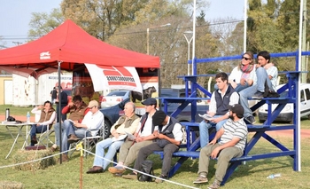 Imagen de la nota: Se lanzó la Exposición Nacional Angus de Primavera