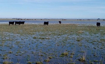 Imagen de la nota: “En agosto ya habíamos superado la media anual” 