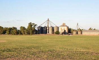 Imagen de la nota:  “La Colmena” en venta: hubo oferta y abrirán registro