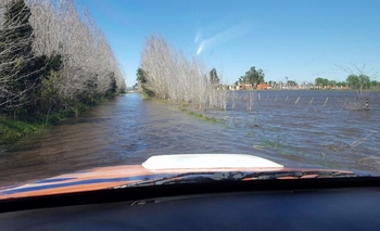 Imagen de la nota: Chacra quedó completamente inundada en Olavarría
