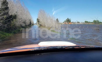 Imagen de la nota: Chacra quedó completamente inundada en Olavarría