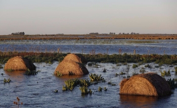Imagen de la nota: Aseguran que casi toda la Provincia está inundada
