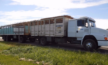 Interceptan e infraccionan a seis camiones en la Ruta 3 Imagen de la nota: Interceptan e infraccionan a seis camiones en la Ruta 3