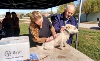 Imagen de la nota: Este sábado será la última jornada del año