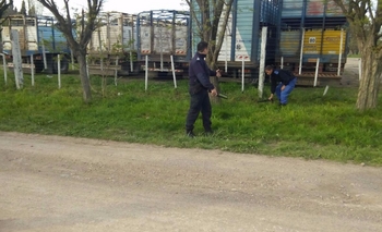 Realizaron un nuevo rastrillaje con detectores de metales  Imagen de la nota: Realizaron un nuevo rastrillaje con detectores de metales