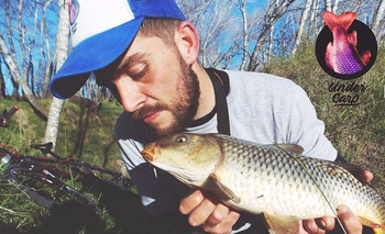 Fenómeno de las gigantescas carpas en Olavarría Imagen de la nota: Fenómeno de las gigantescas carpas en Olavarría