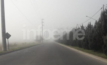 Imagen de la nota: Visibilidad reducida por neblina en la ciudad 