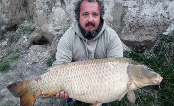 Tapalqué Monster: pescaron una carpa gigante Imagen de la nota: Tapalqué Monster: pescaron una carpa gigante