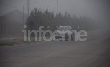 Imagen de la nota: Baja visibilidad por niebla en la ciudad