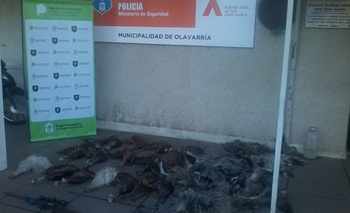 Imagen de la nota: Infraccionan a cuatro personas por caza furtiva