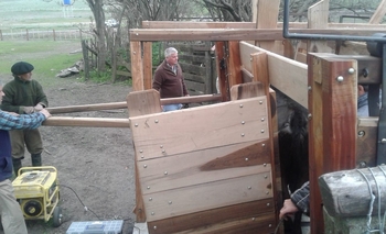 Imagen de la nota: Procedimiento por “animales invasores” en campos locales