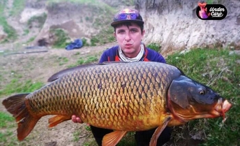 Pescaron una gigantesca carpa en el Arroyo Tapalqué Imagen de la nota: Pescaron una gigantesca carpa en el Arroyo Tapalqué