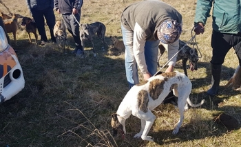 Imagen de la nota: Infraccionados por practicar caza furtiva en un campo