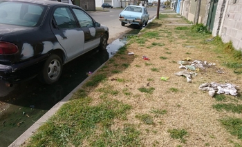 Imagen de la nota: Envenenaron perros en barrio Hipólito Yrigoyen