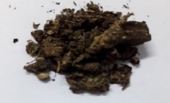 Imagen de la nota: Demoran a una motociclista con marihuana