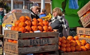 Imagen de la nota: “El Mercado en tu Barrio” en el Parque del Bicentenario