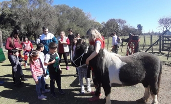 Nuevo encuentro de educación emocional con caballos Imagen de la nota: Nuevo encuentro de educación emocional con caballos