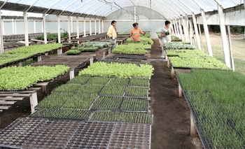 Imagen de la nota: Nuevo programa dedicado al sector agropecuario