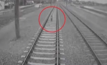 Imagen de la nota: Un maquinista evitó el arrollamiento de un niño