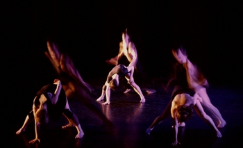 Imagen de la nota: Buscan que el Día de la Danza sea de interés municipal