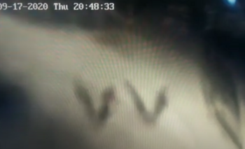 Imagen de la nota: Video: rompieron una cámara de seguridad a piedrazos