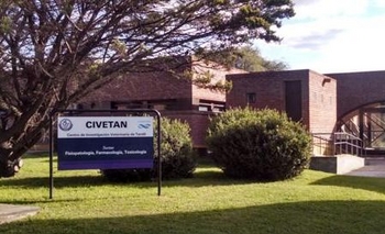 Imagen de la nota: Ratifican la eficacia de la ivermectina contra el COVID