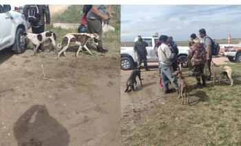 Imagen de la nota: Caza furtiva y presunta carrera de perros galgos