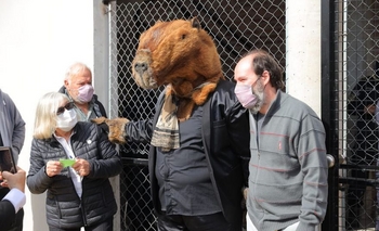 Un hombre carpincho se presentó a votar en Nordelta Imagen de la nota: Un hombre carpincho se presentó a votar en Nordelta