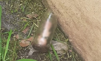 Imagen de la nota: Jardinero cortaba el pasto y se encontró con un pene 