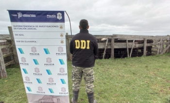 Imagen de la nota: Allanamiento por abigeato terminó en infracción 