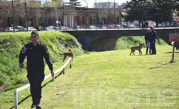 Imagen de la nota: Fotogalería: así volvieron a rescatar al perrito del arroyo
