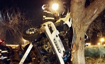 Imagen de la nota: Un camionero perdió la vida tras chocar contra un árbol