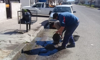 Barrio Alberdi: familias se juntaron para tapar baches Imagen de la nota: Barrio Alberdi: familias se juntaron para tapar baches