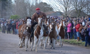 Imagen de la nota: Santa Luisa se prepara para la Fiesta del Caballo
