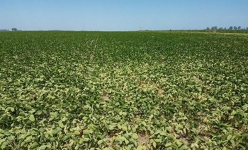 Imagen de la nota: Créditos a los productores afectados por la sequía 